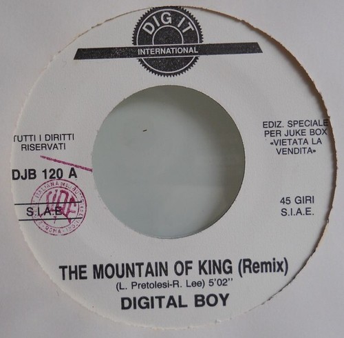 Digital boy the - ni-do,