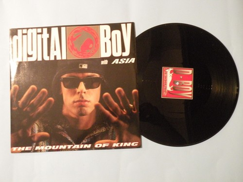 Digital boy the mountain of - -,